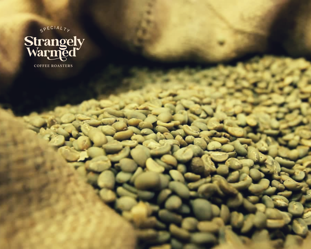 Organic Green Bean Coffee