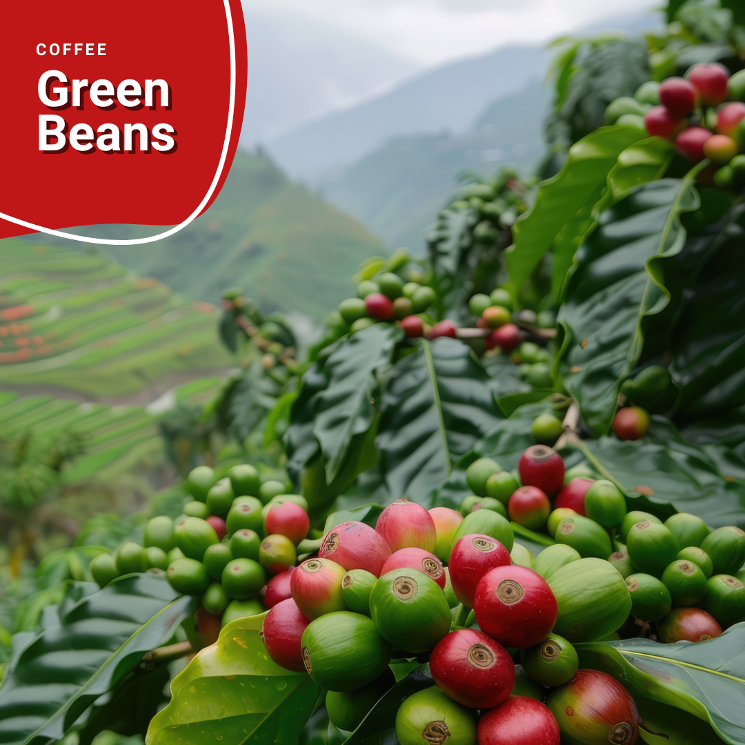 Discover the Freshness of Green Bean Coffee