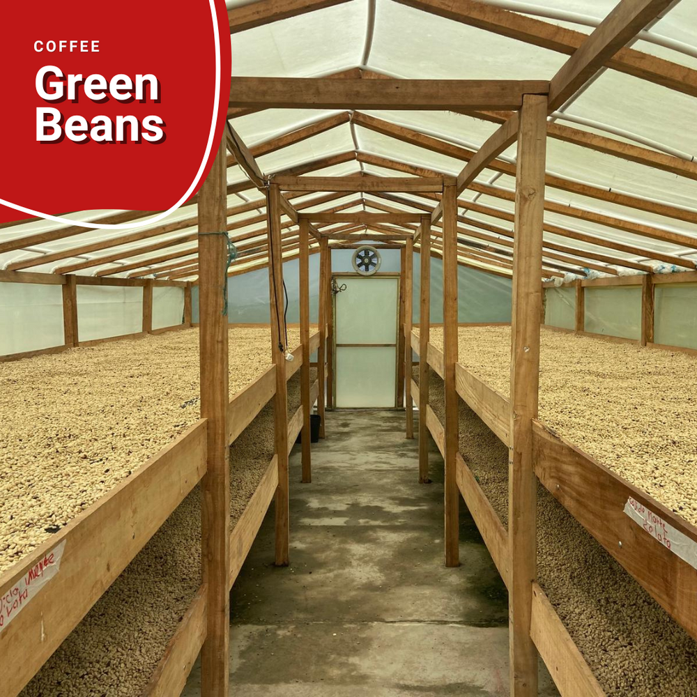 Discover the Freshness of Green Bean Coffee