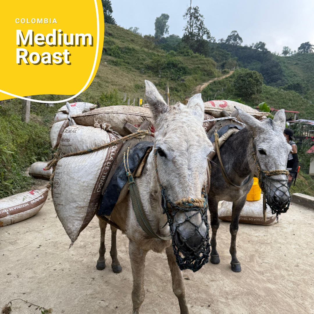 Medium Roast - Colombia