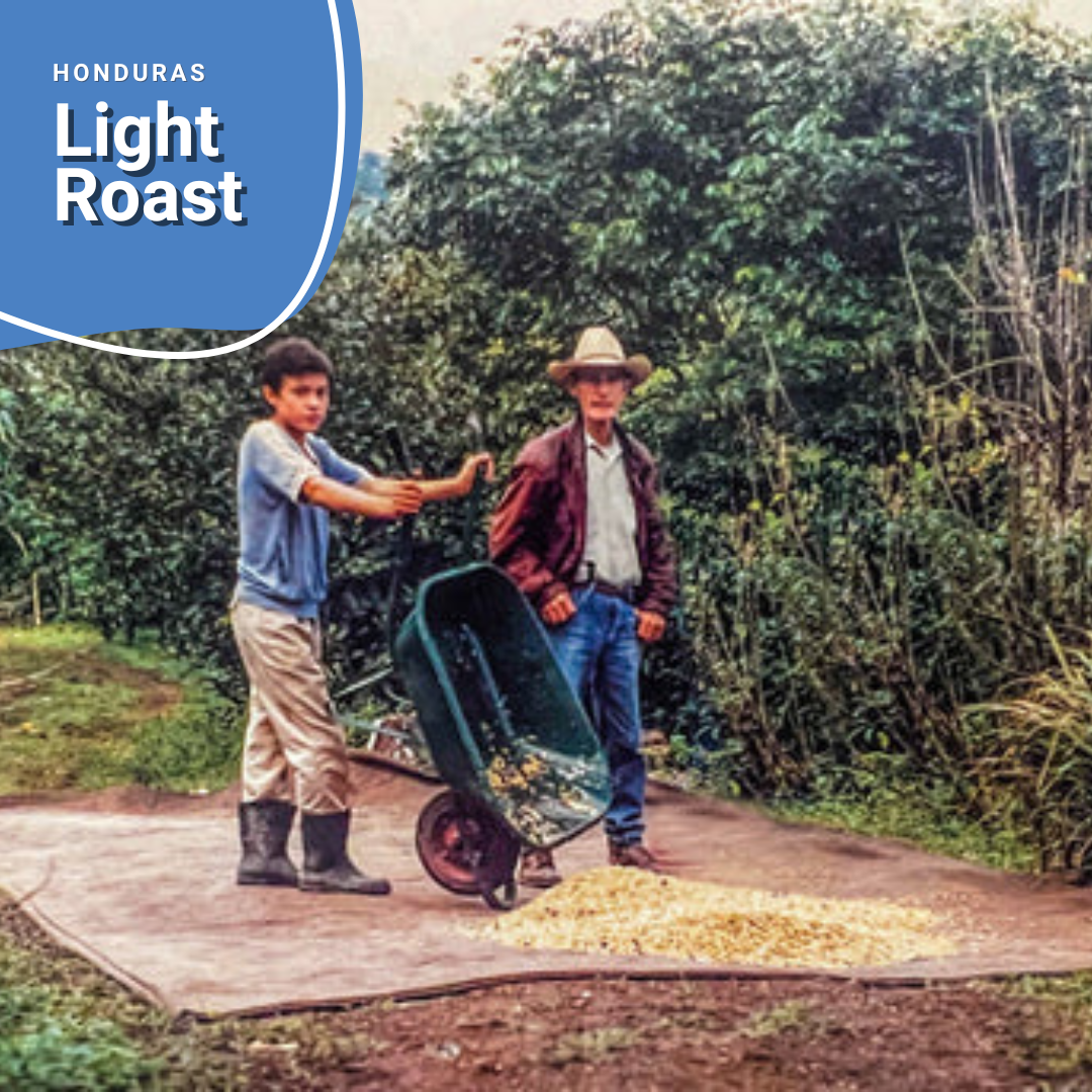 Light Roast - Honduras