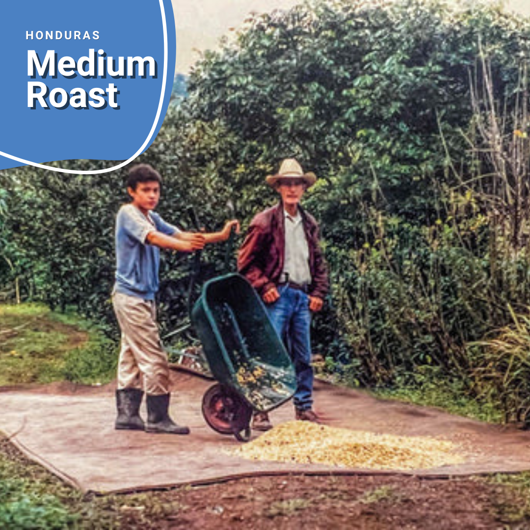Medium Roast - Honduras
