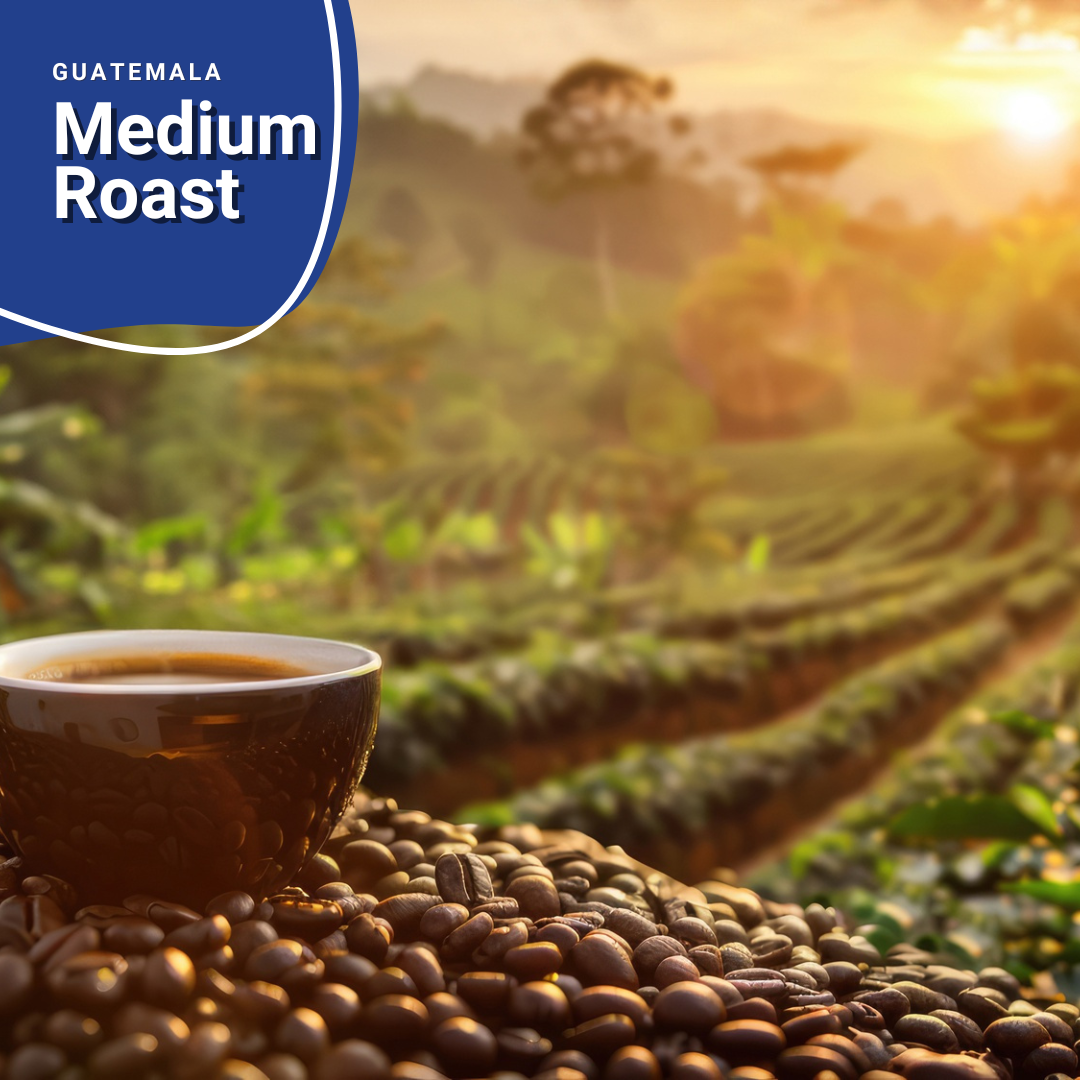 Medium Roast - Guatemala