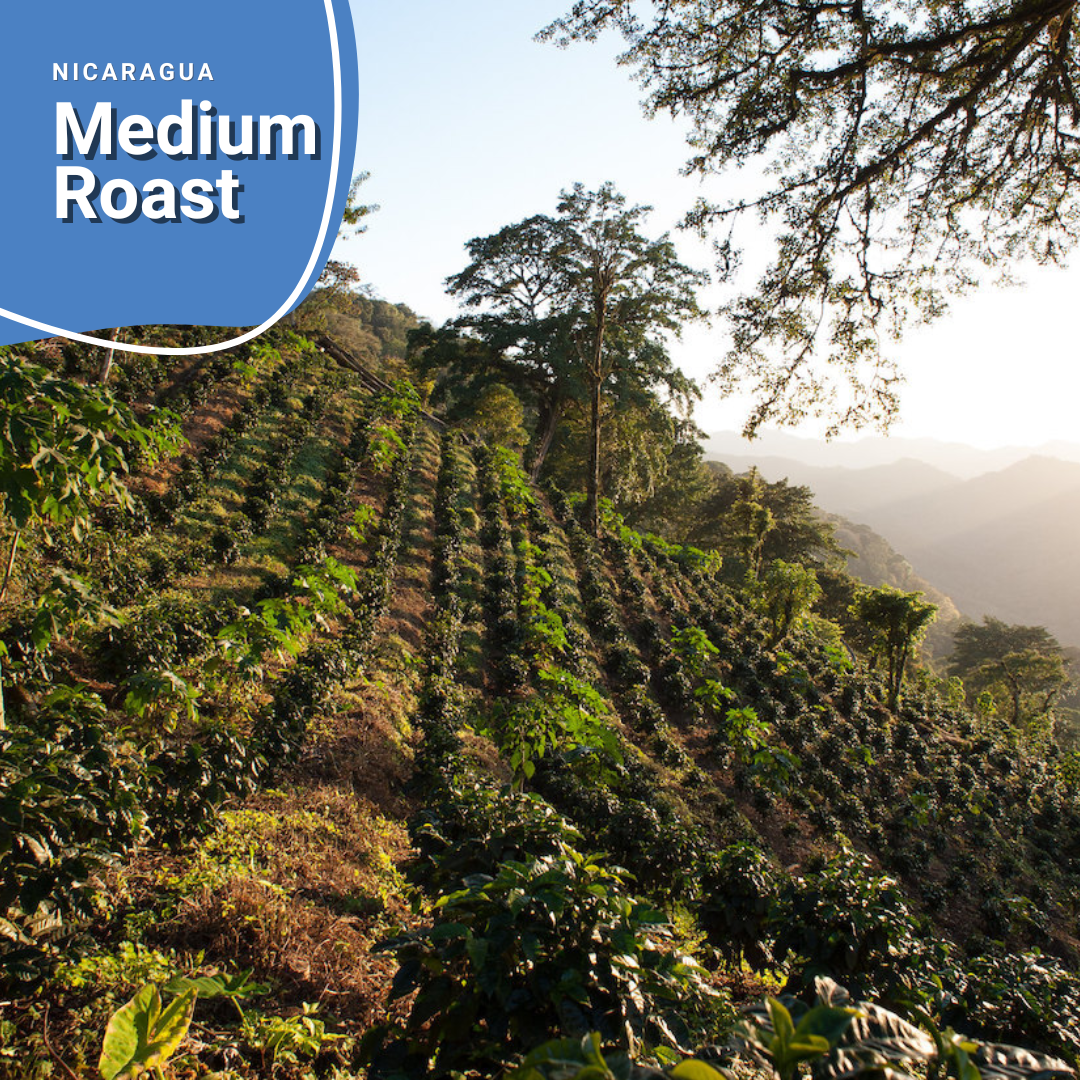Medium Roast - Nicaragua