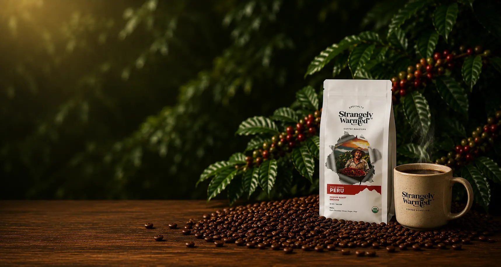 Freshly roasted specialty coffee delivered to you, homepage hero banner